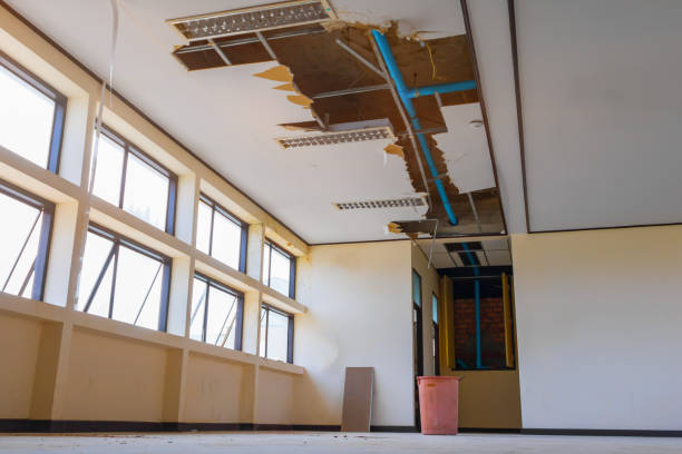 Best Ceiling water damage repair  in Hinton, WV