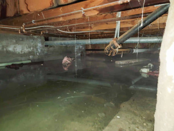 Best Water damage cleanup near me  in Hinton, WV