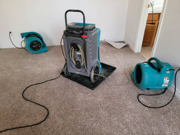 Best Local water damage restoration  in Hinton, WV