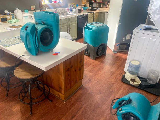 Best Professional water damage repair  in Hinton, WV