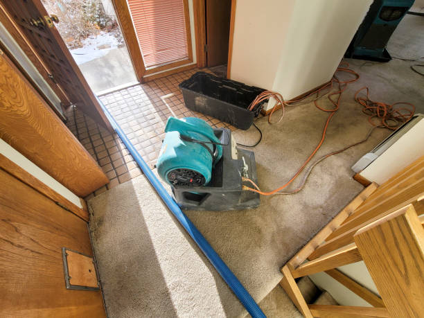 Best Residential water damage restoration  in Hinton, WV