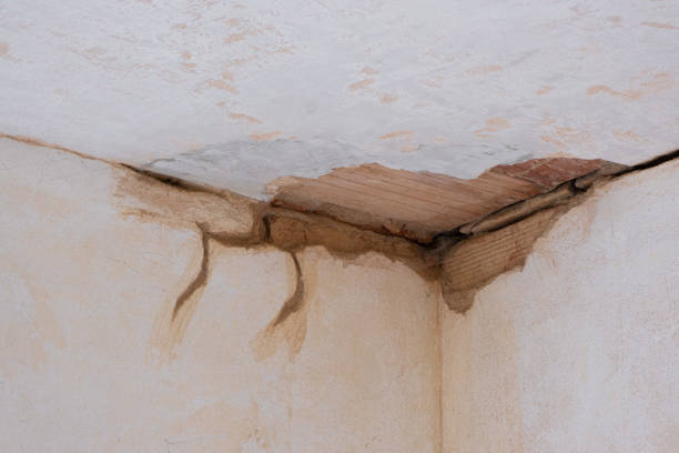 Water damage restoration mold remediation in WV