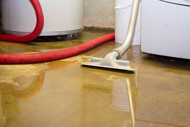 Best Residential water damage restoration  in Hinton, WV
