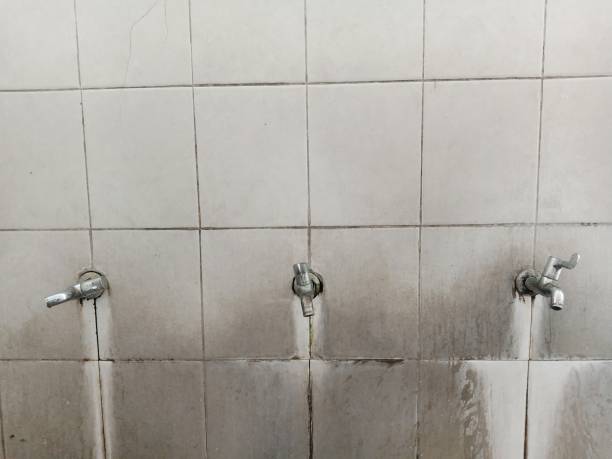 Best Ceiling water damage repair  in Hinton, WV
