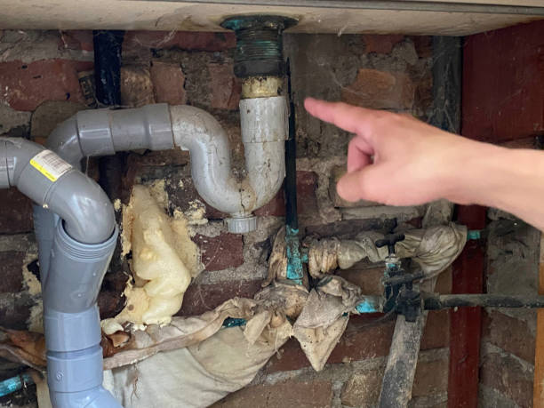 Best Water damage restoration mold remediation  in Hinton, WV