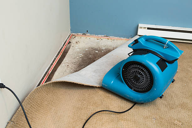 Best Water damage restoration near me  in Hinton, WV